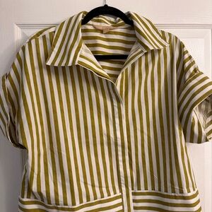 Striped Button Down Shirt - Green and White